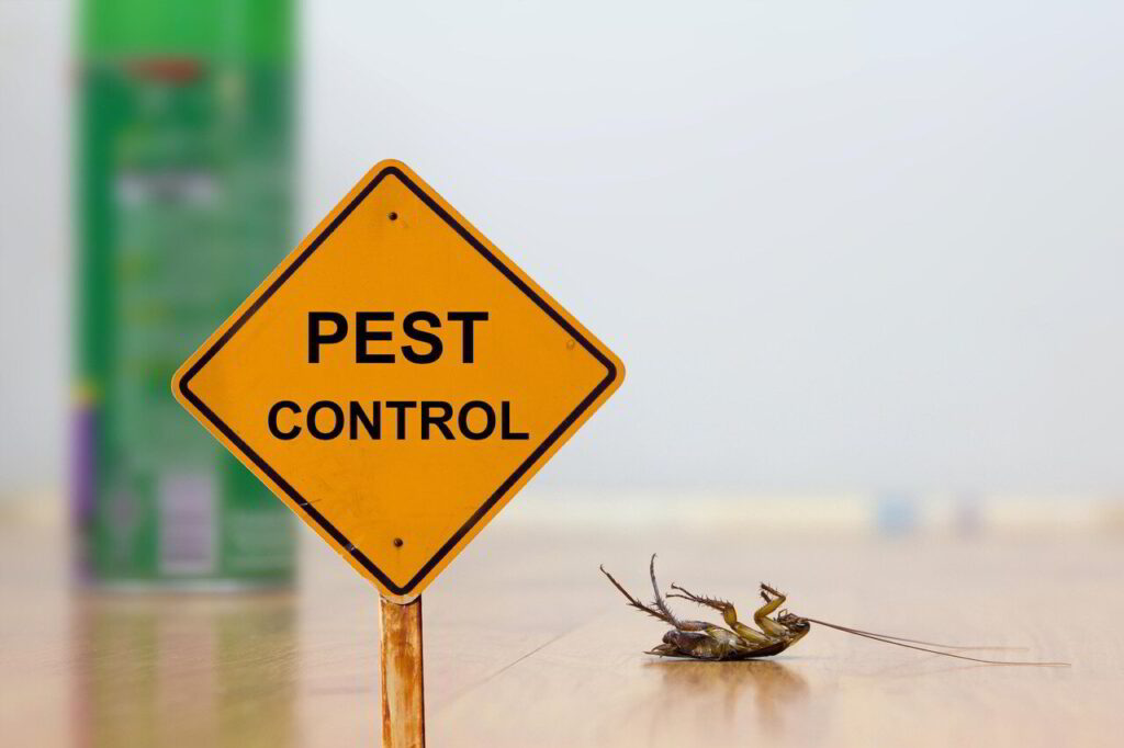 Pest Control pro active in Vancouver wa